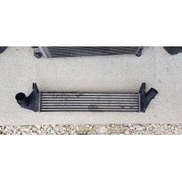 DACIA SANDERO STEPWAY MUSATA FRONTALE ANTERIORE COFANO FARI PARAURTI RADIATORI