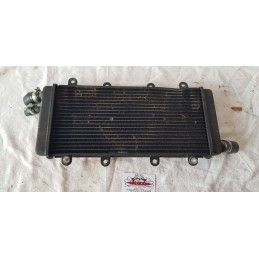 CHATENET CH46 RADIATORE ACQUA RAFFREDDAMENTO MOTORE LOMBARDINI 140.302