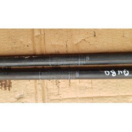 FIAT QUBO PISTONI PISTONCINI COFANO POSTERIORE PORTELLONE BAGAGLIAIO SX DX