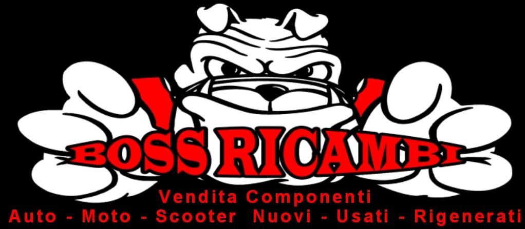 BOSS RICAMBI di Fabiani Americo