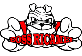 BOSS RICAMBI di Fabiani Americo